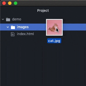 Adding an image to a folder.