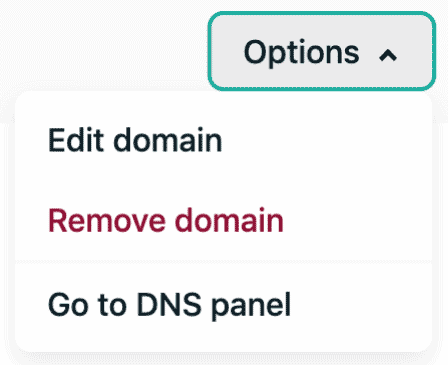 Screenshot of domain options on hosting application.