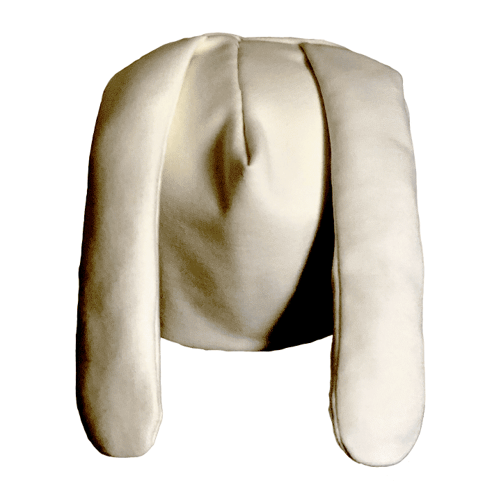 Bunny Hat image