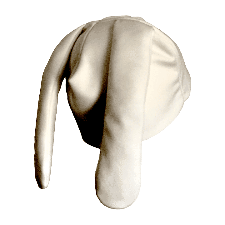 Bunny Hat image