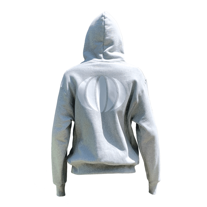 Champion Logo Hoodie image