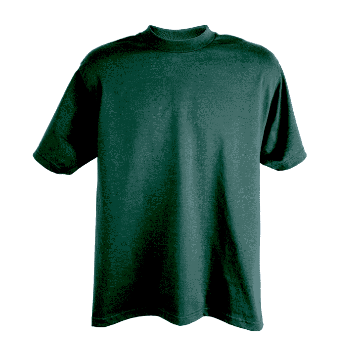 Tree of Life T-Shirt image